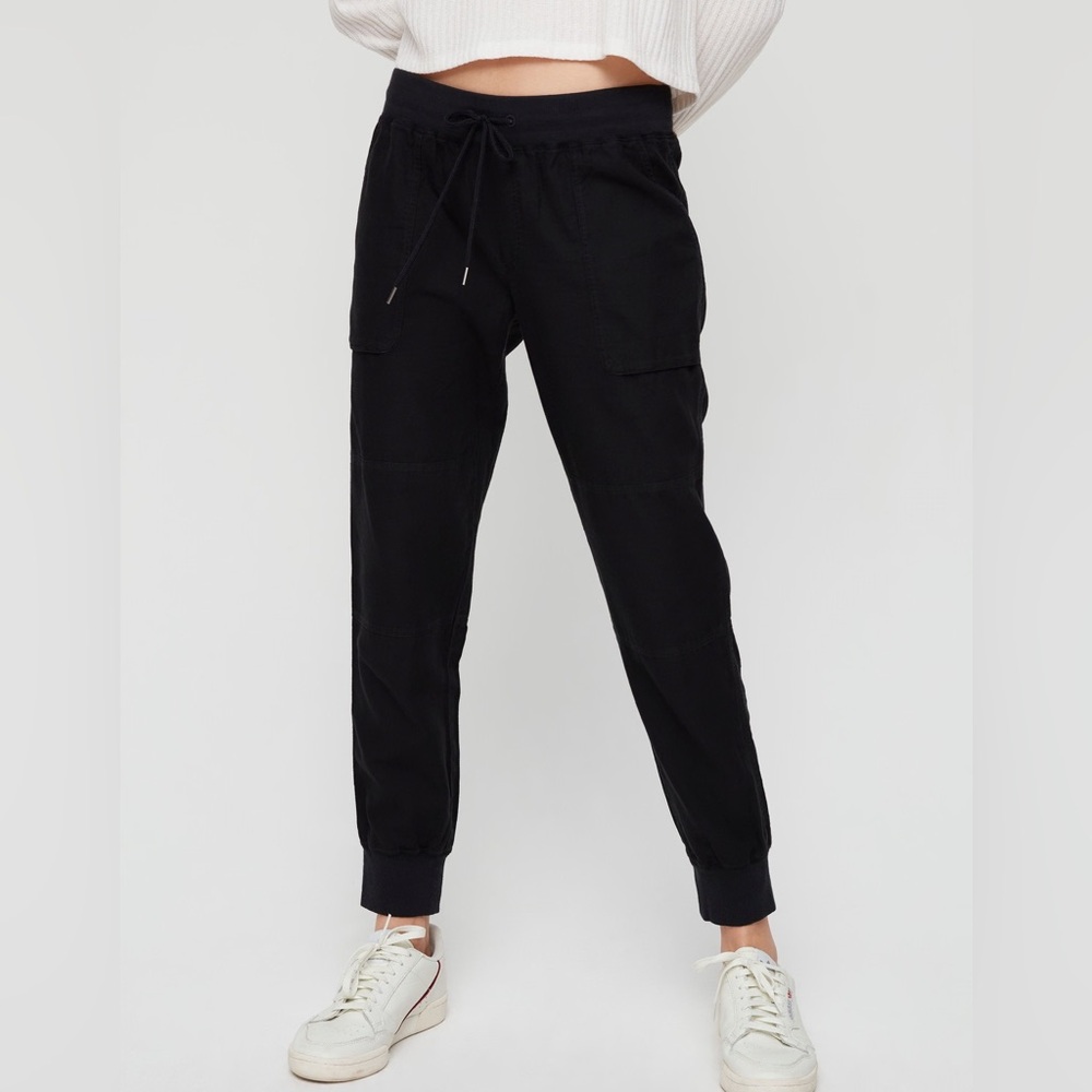 Aritzia Ion Pant